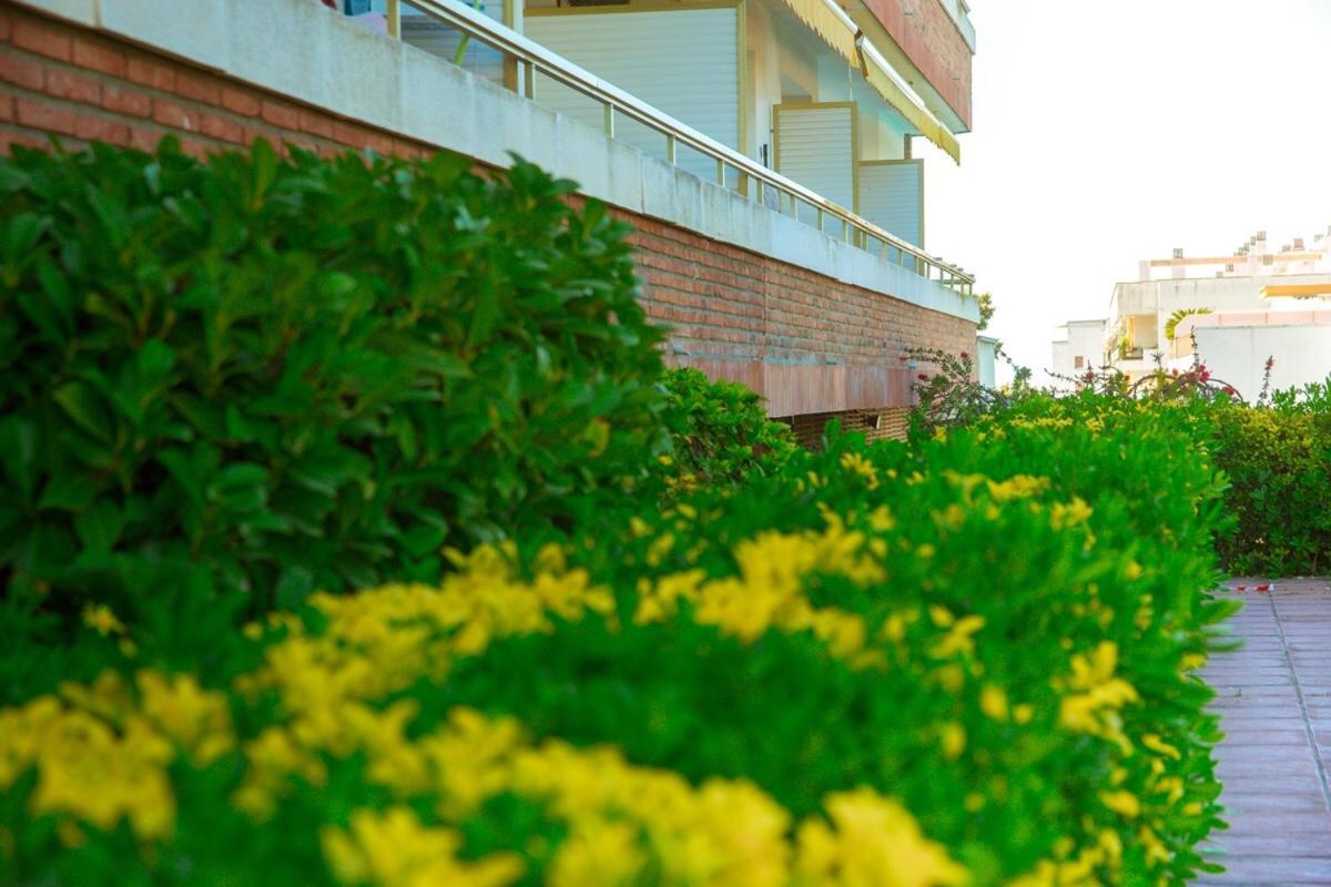 Apartament With Sea View يوريت دي مار المظهر الخارجي الصورة